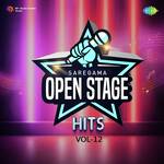 Open Stage Hits - Vol 12 - Mickey Singh Narula Song Download